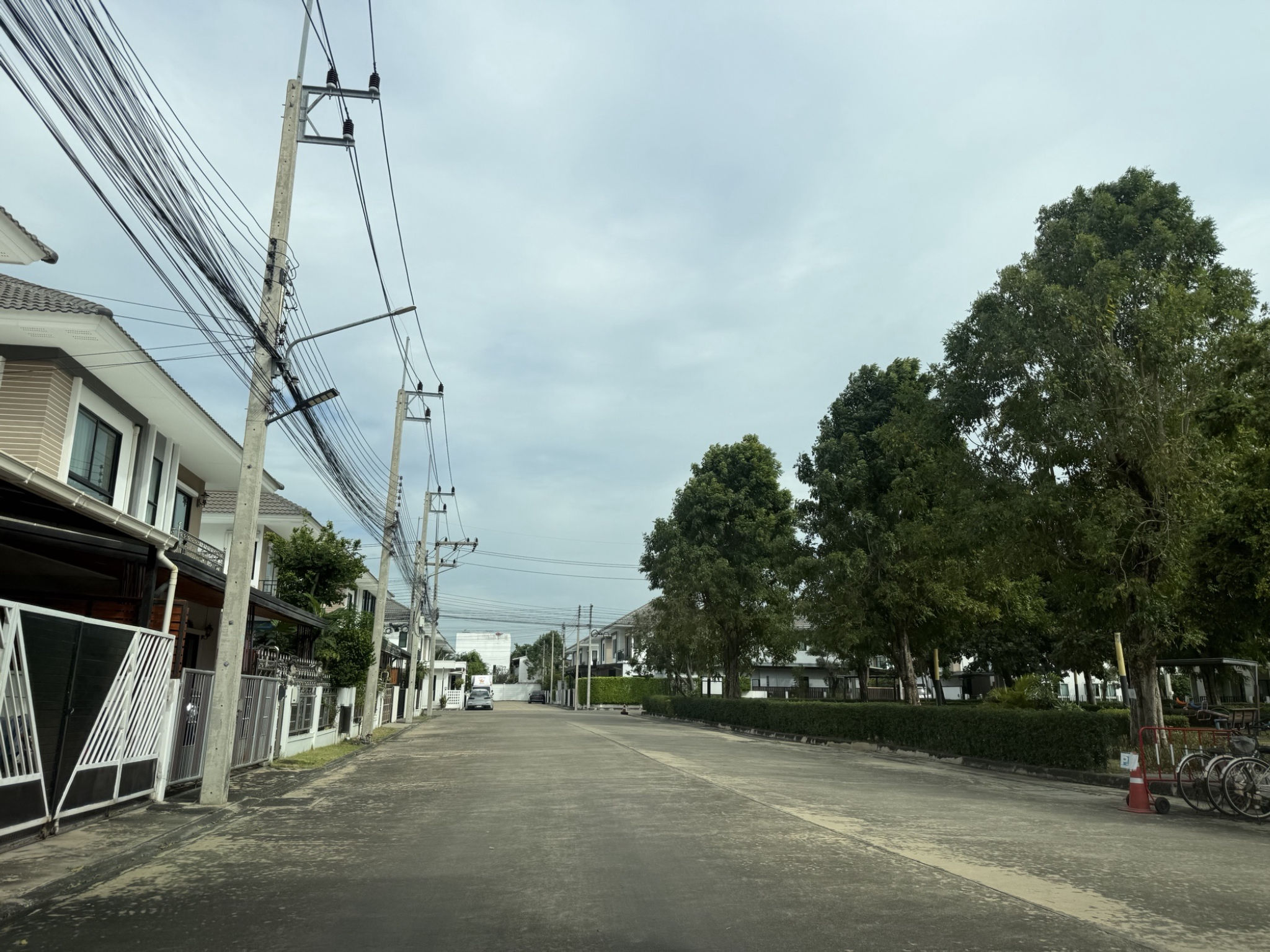 IMG_6824.jpeg