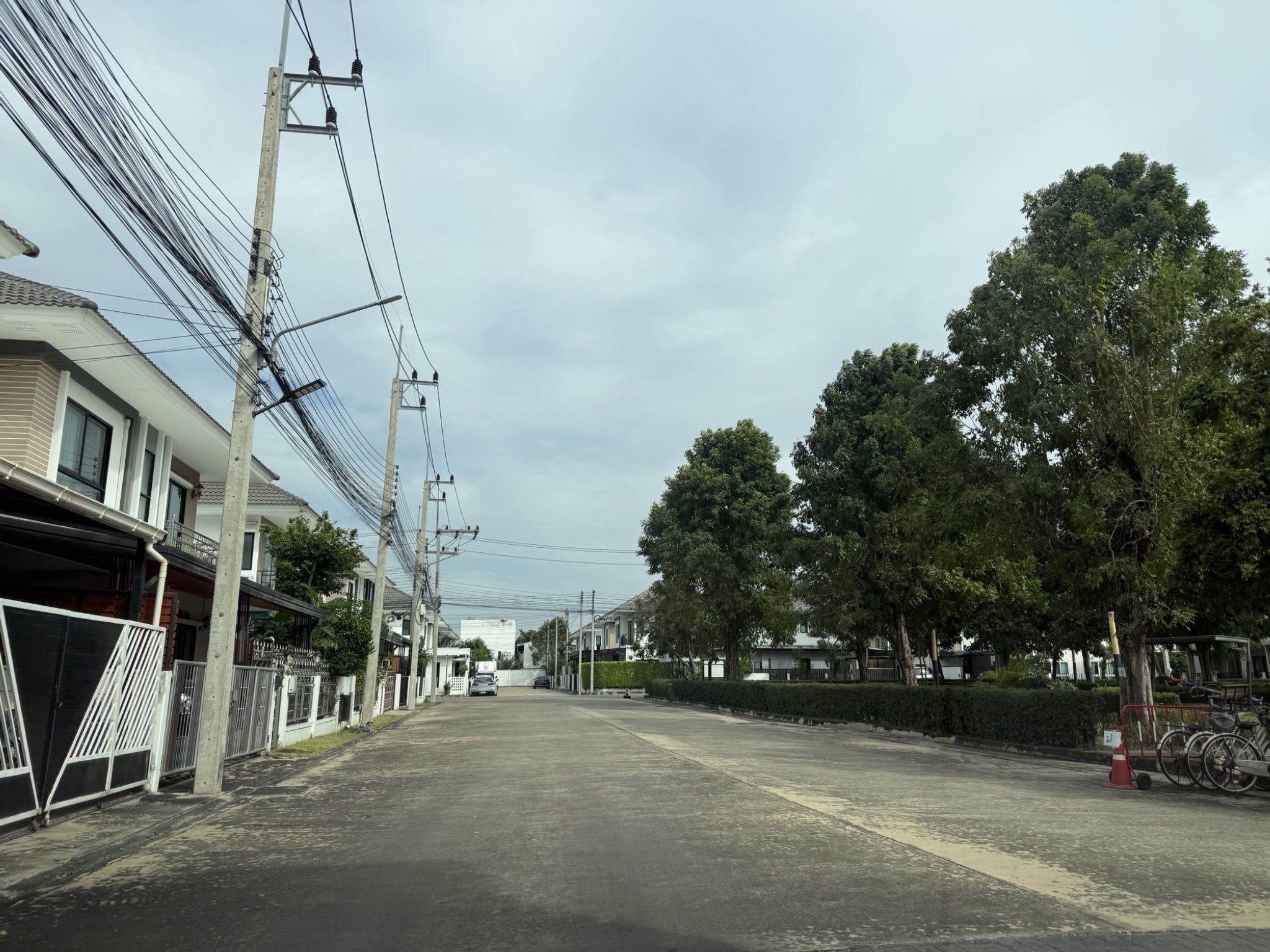 IMG_6825.jpeg