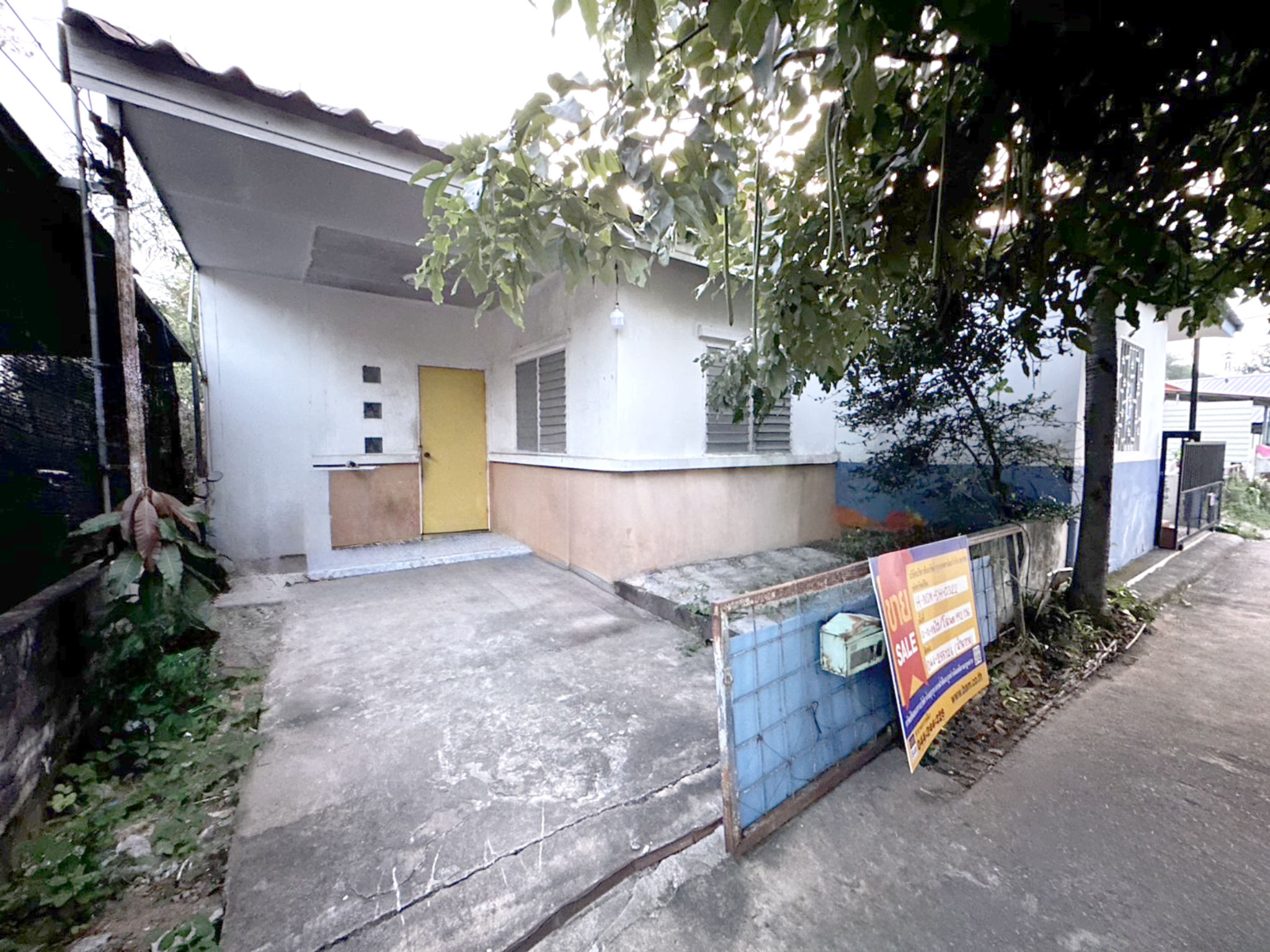 b0d5b60b-138101-1.jpg