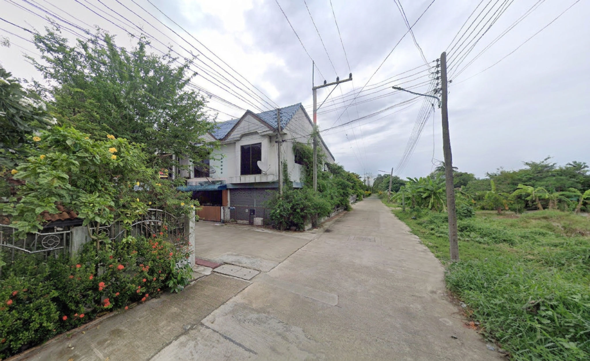 freepik__-__58945.png