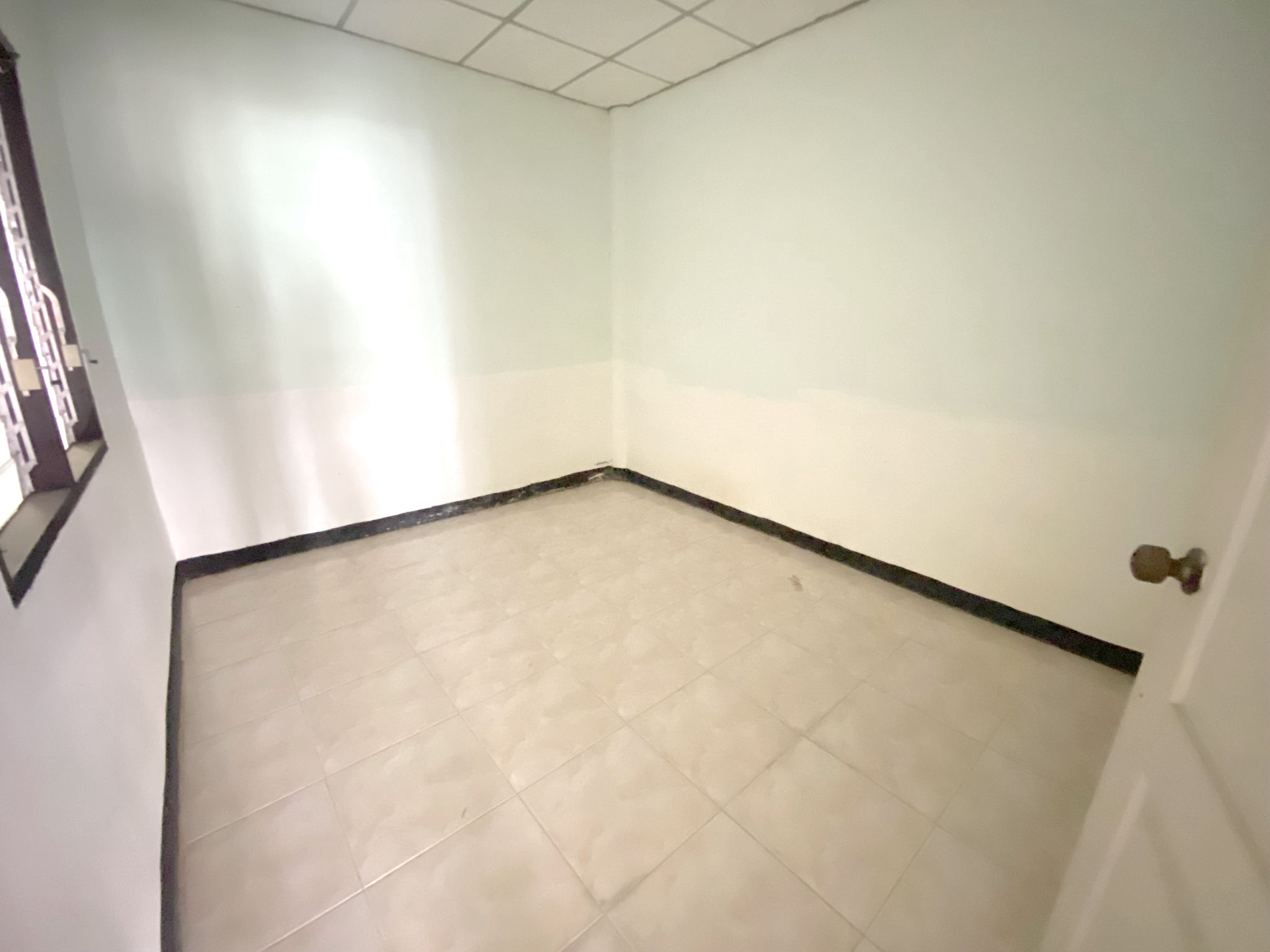61e362e5-60981-8.jpg