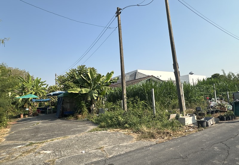 TC_06003.JPG