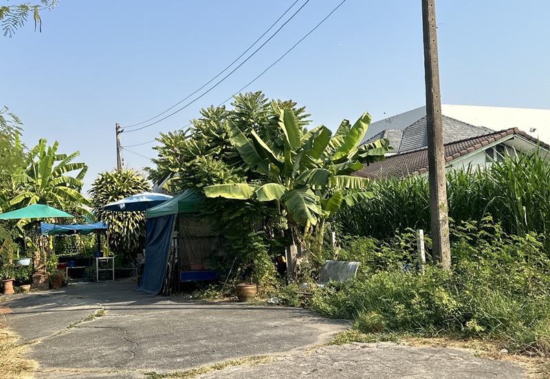 TC_06004.JPG
