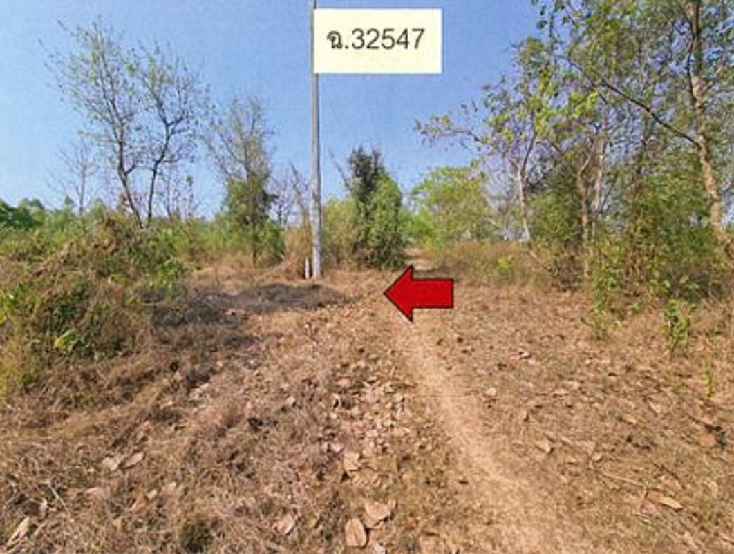 42ab43eb-12948-0.jpg