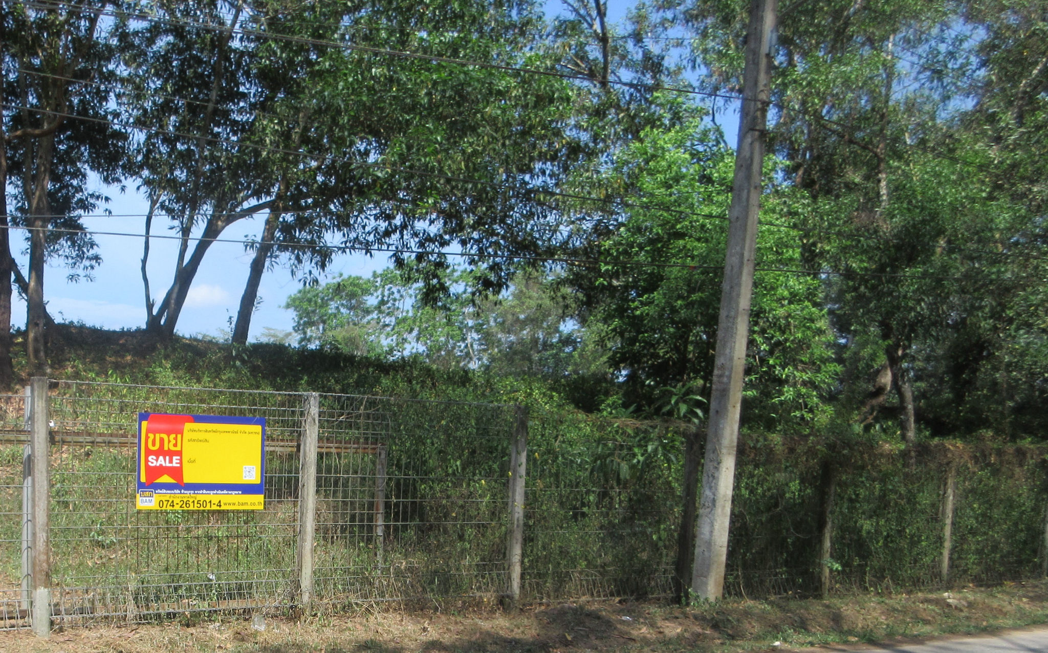 05.jpg
