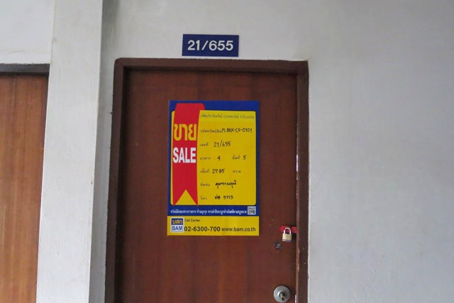 image (13).png