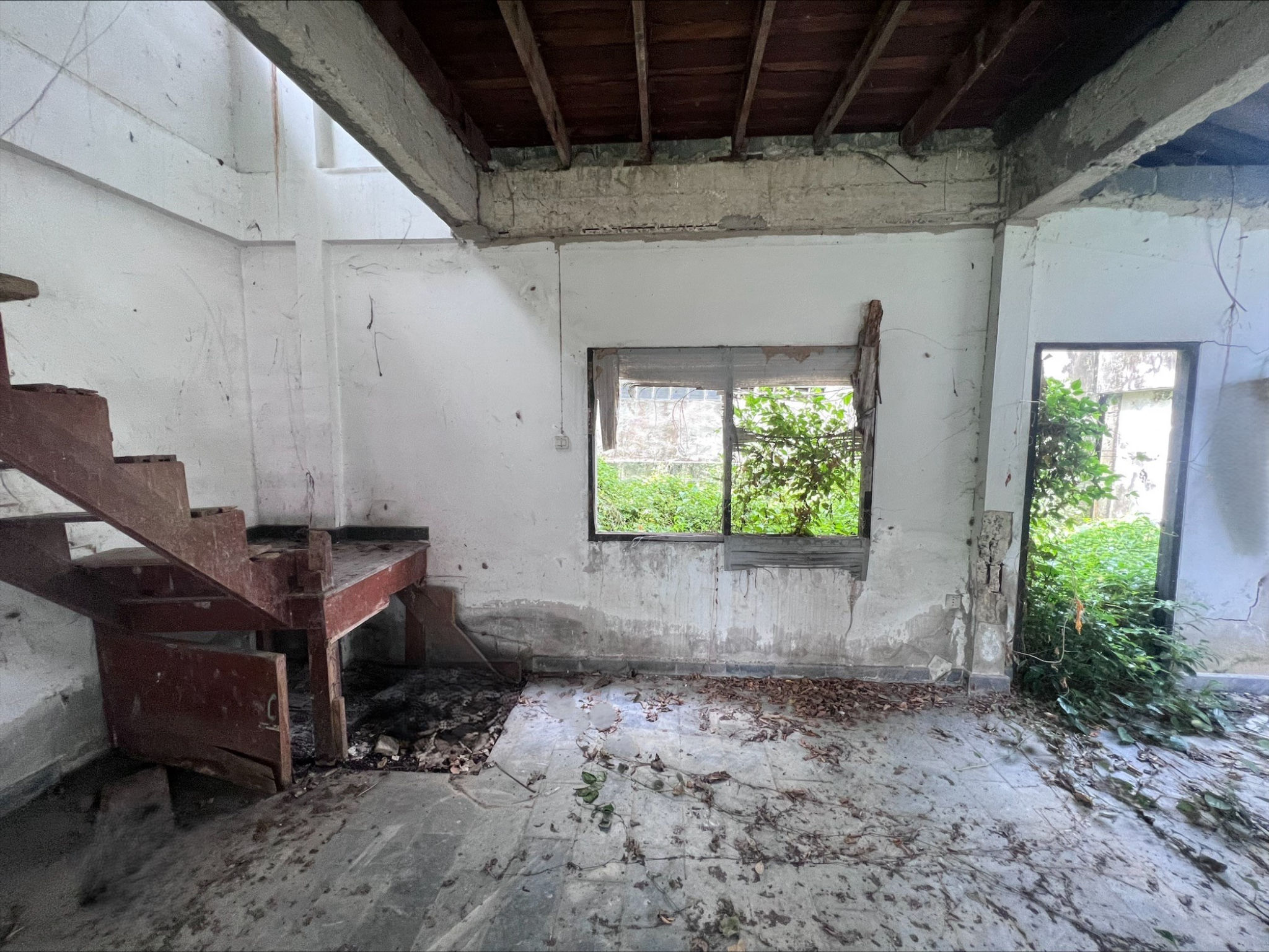 125612d9-138709-5.jpg