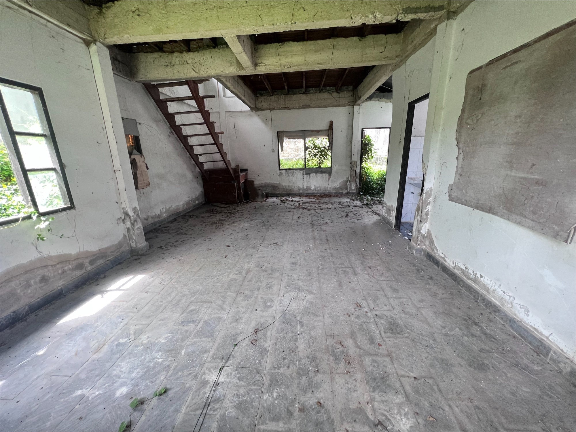 125612d9-138709-0.jpg