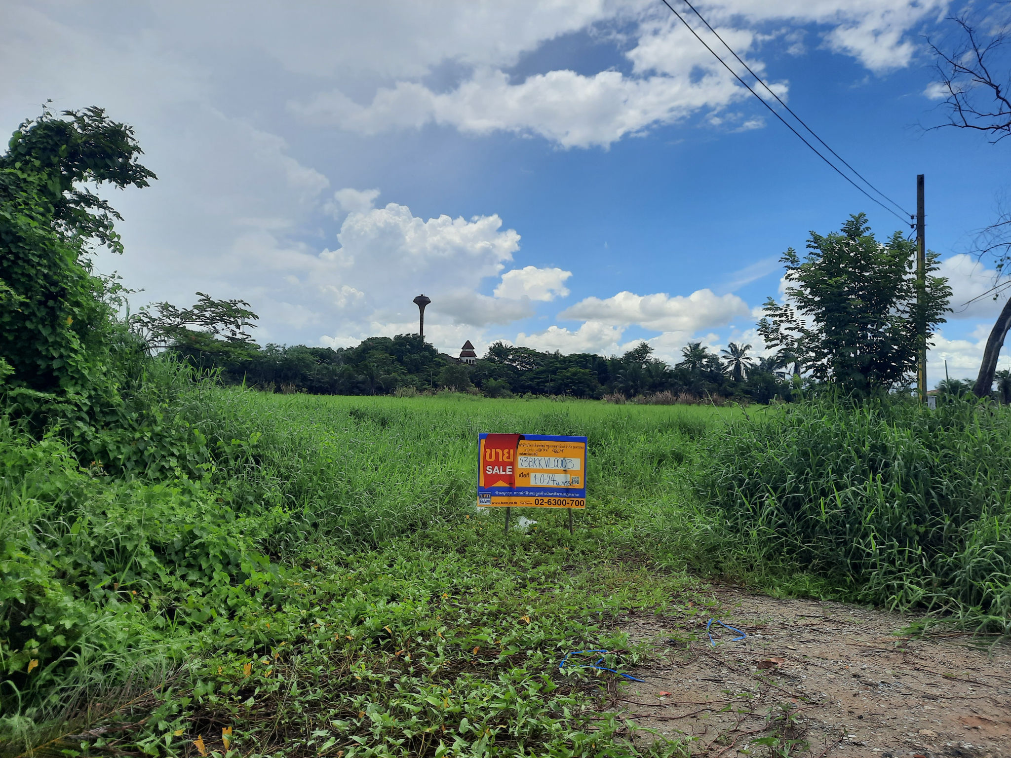 ที่ดิน ลำผักชี หนองจอก กรุงเทพมหานคร
