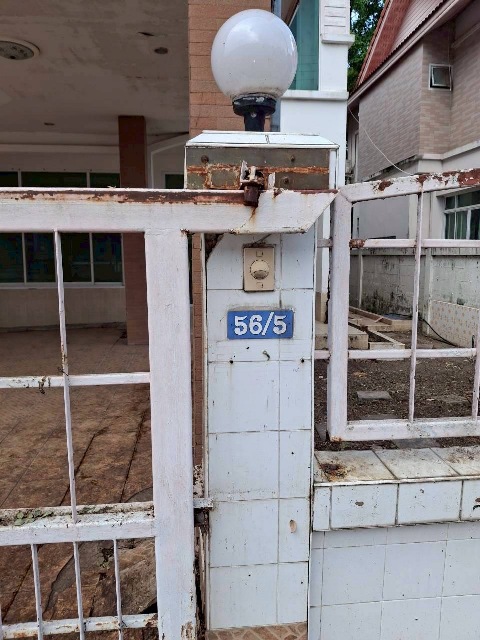 S__118686017.jpg