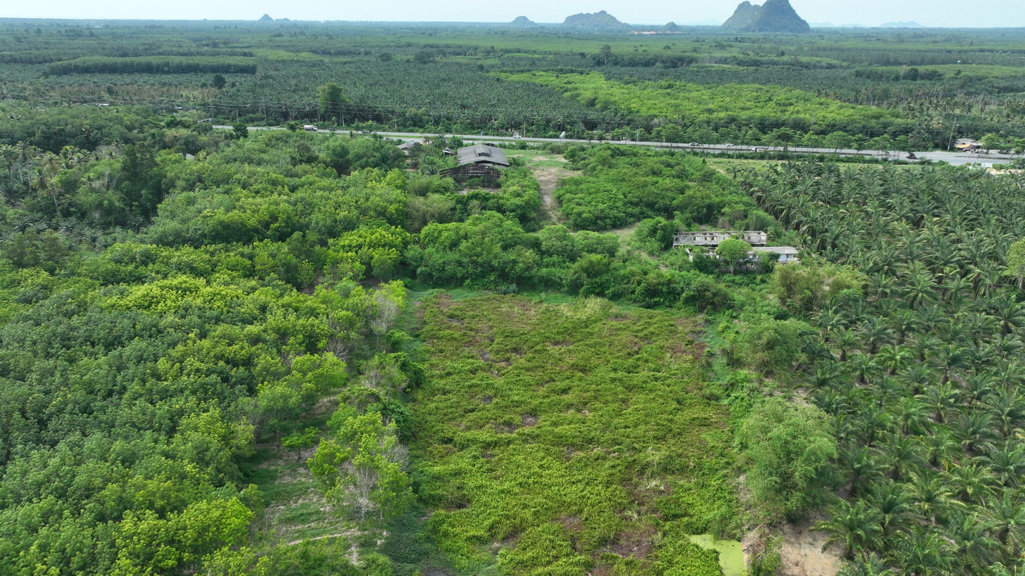 DJI_0520.JPG