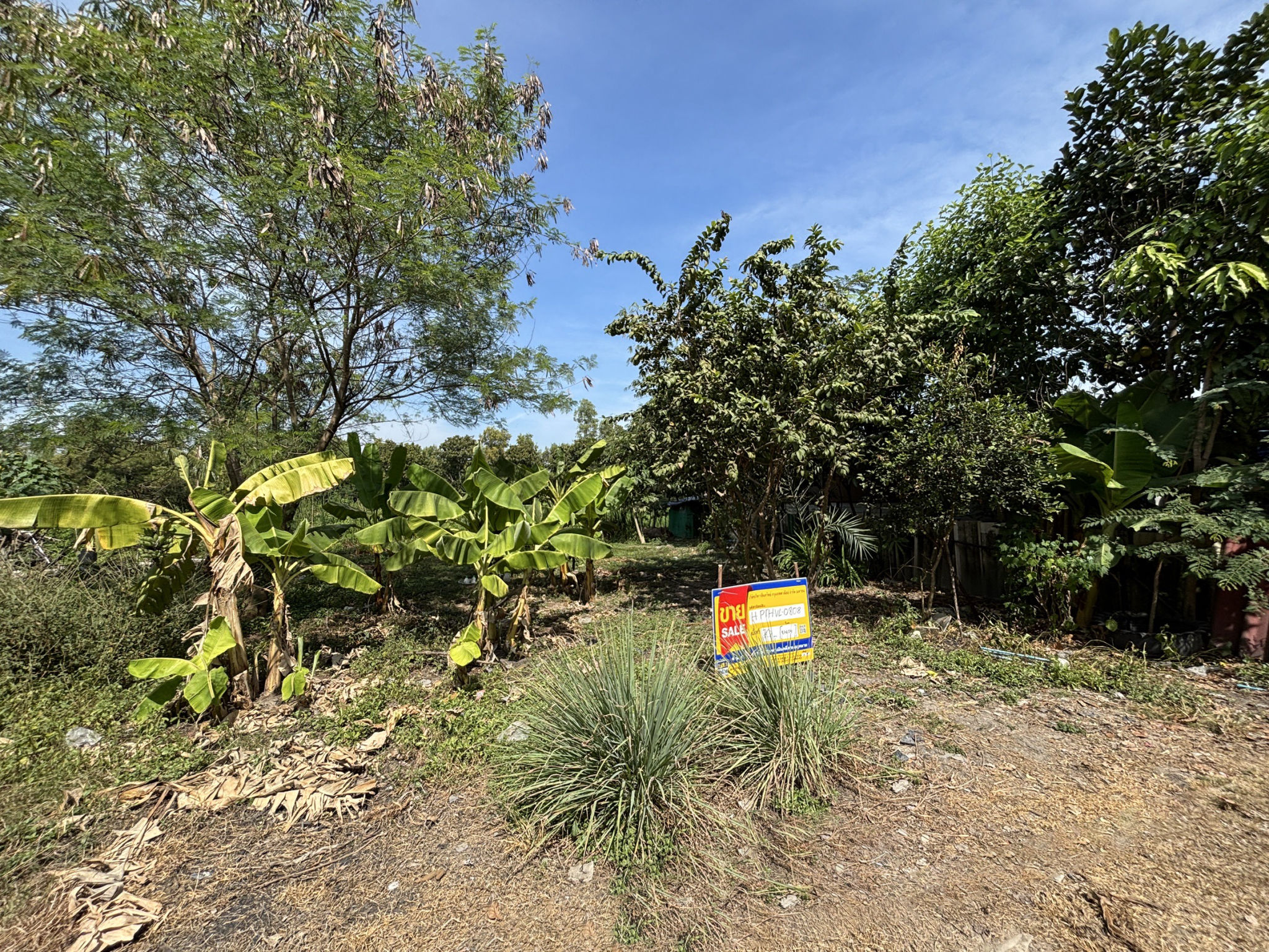 16178cc0-147316-7.jpg