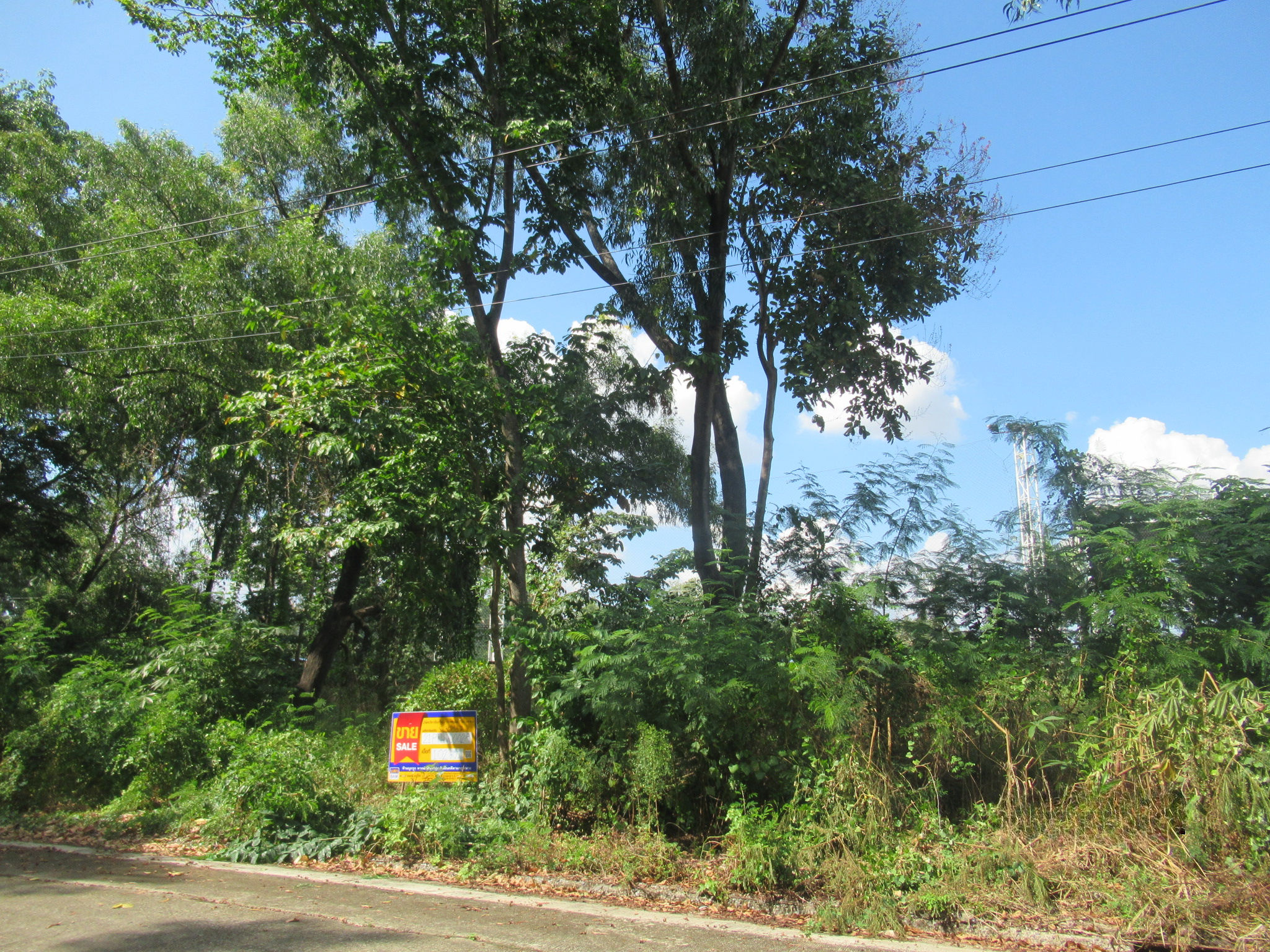 21PTHVL0028000-3.jpg