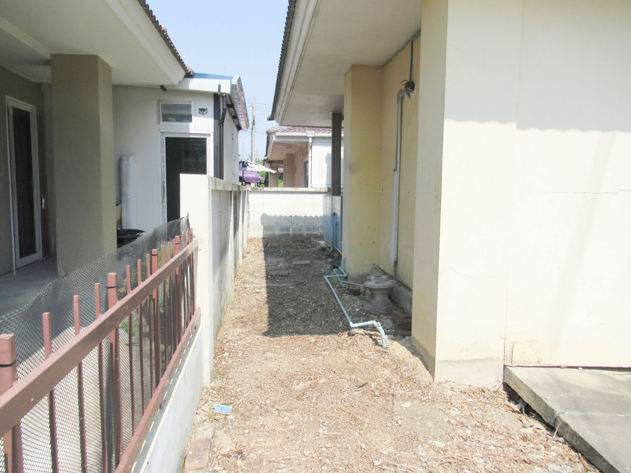 e1573650-IMG_6353.JPG