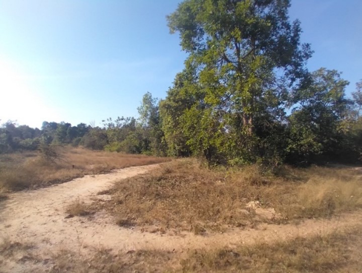 รูปภาพ4.jpg