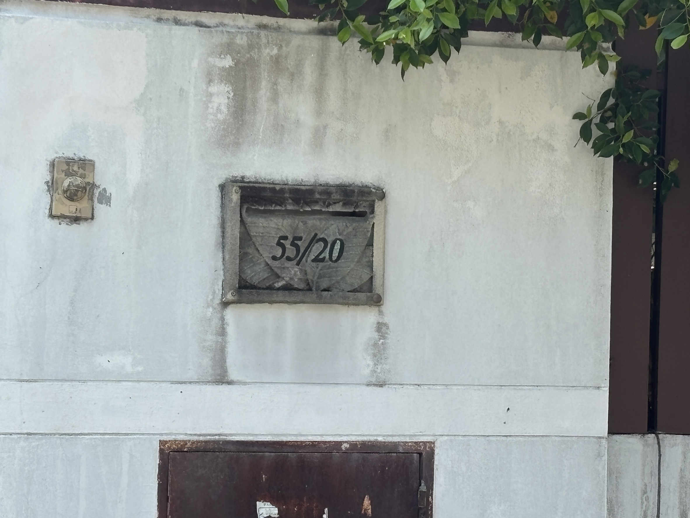 S__124682441.jpg