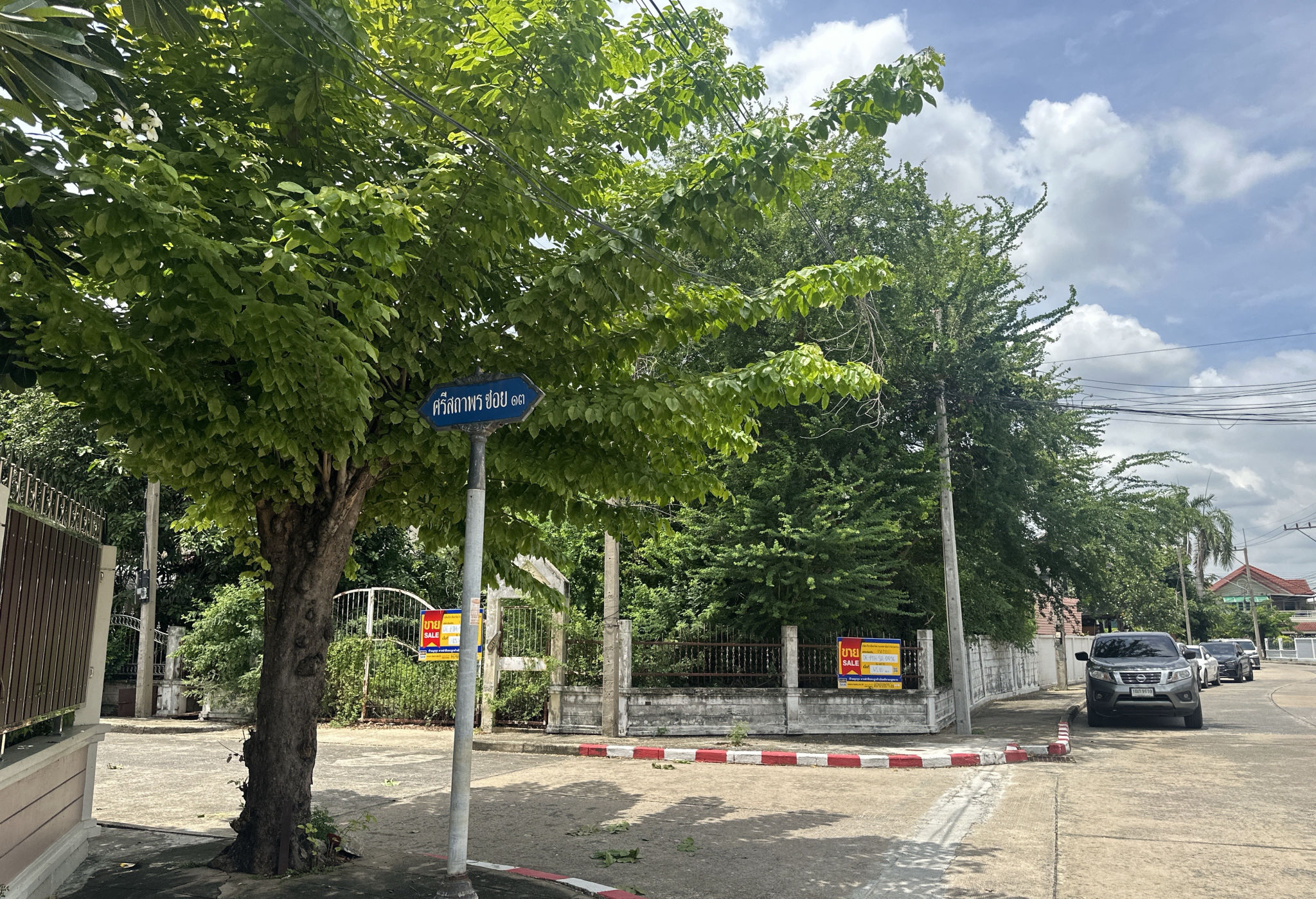 TC_03419.JPG