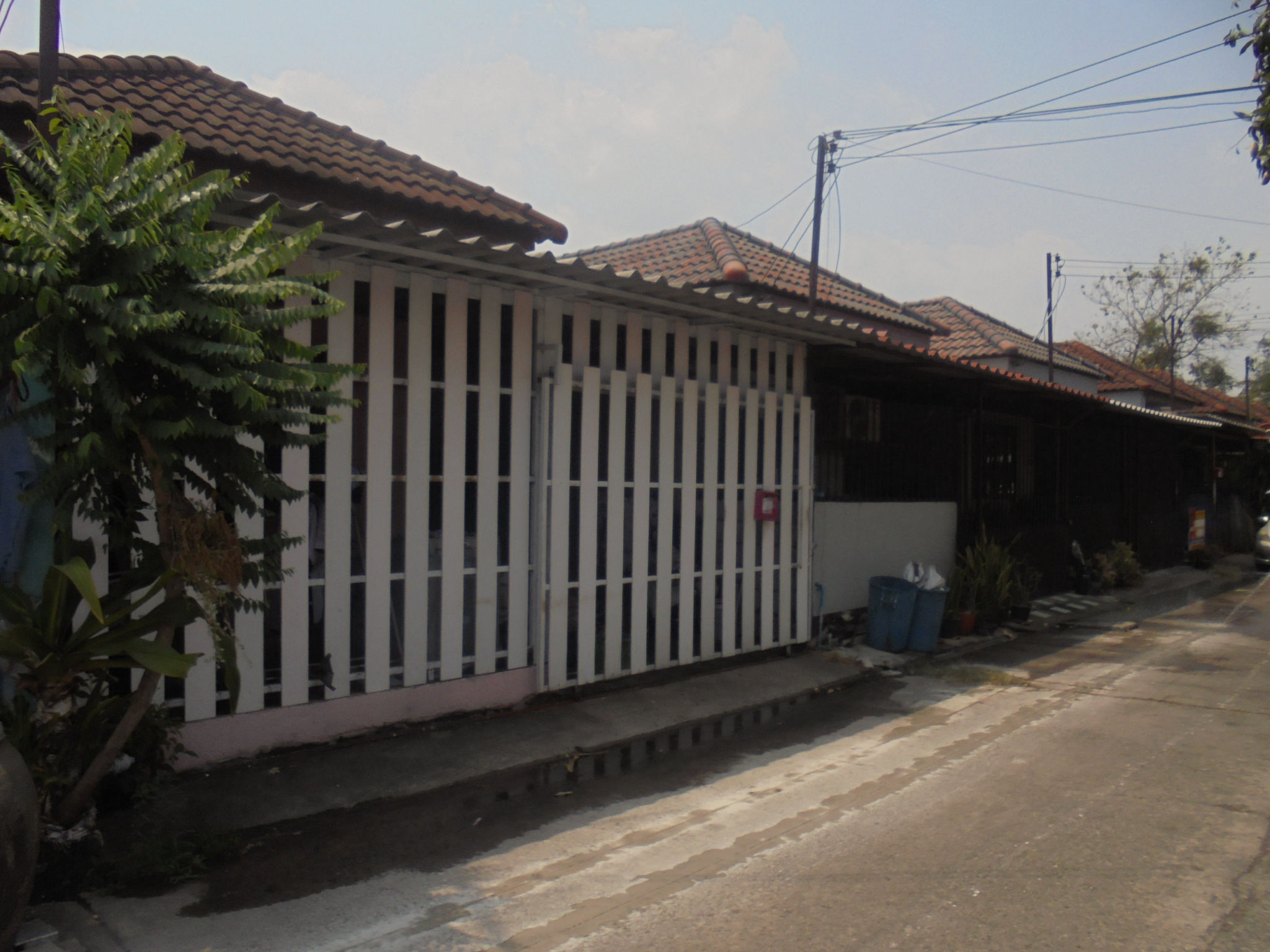 DSC07876.JPG