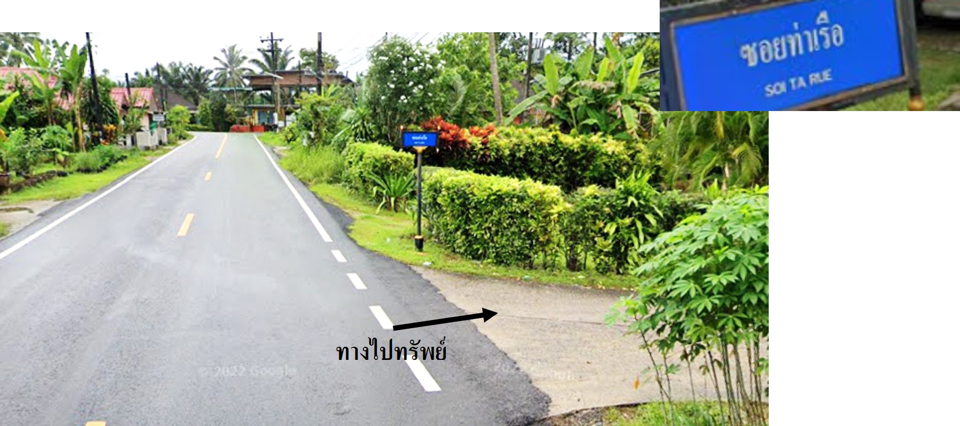 Picture3.jpg