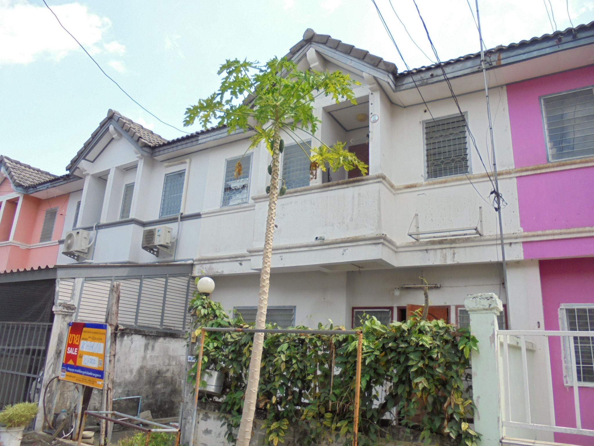 DSC07589.JPG