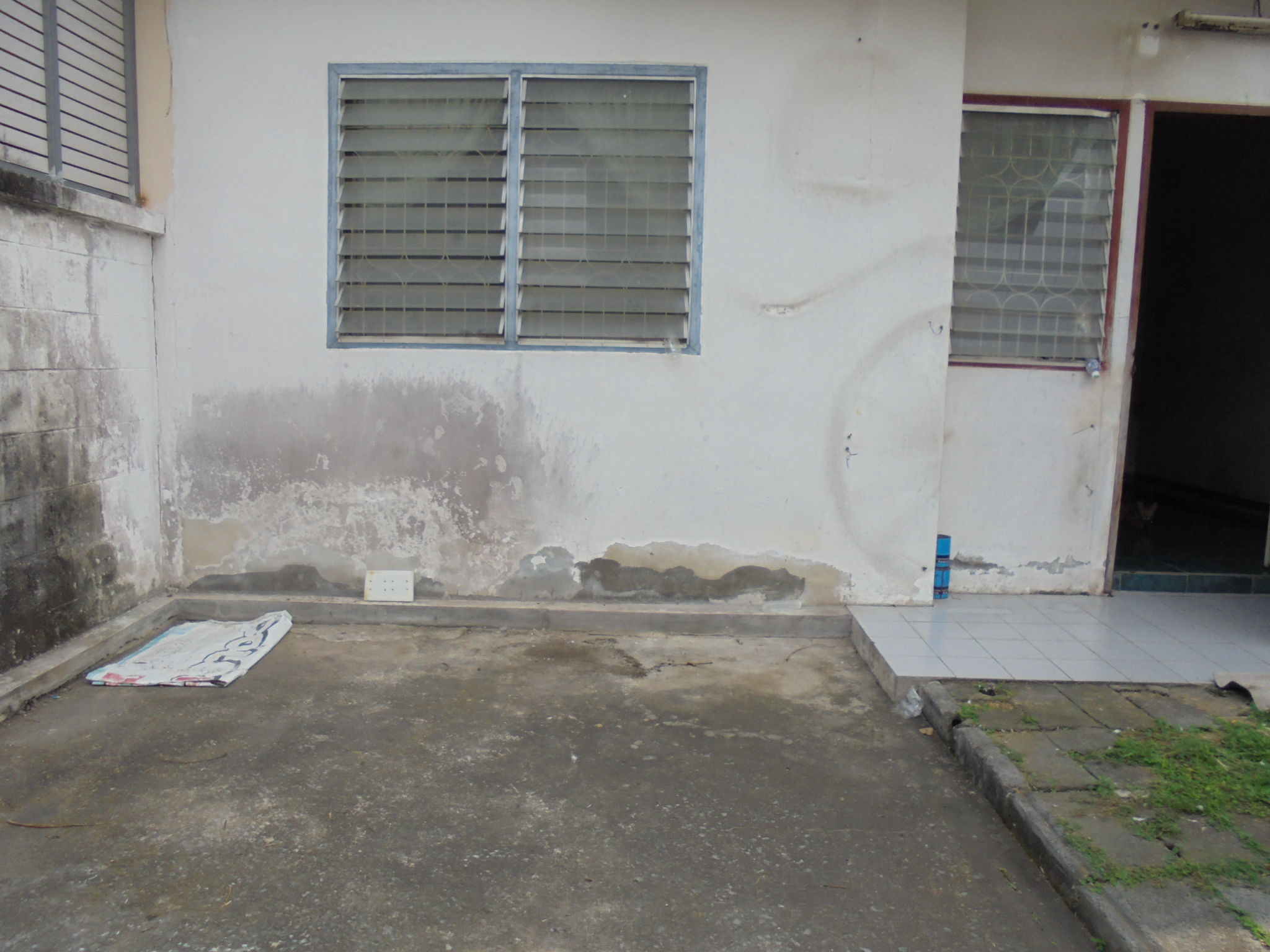 DSC07590.JPG