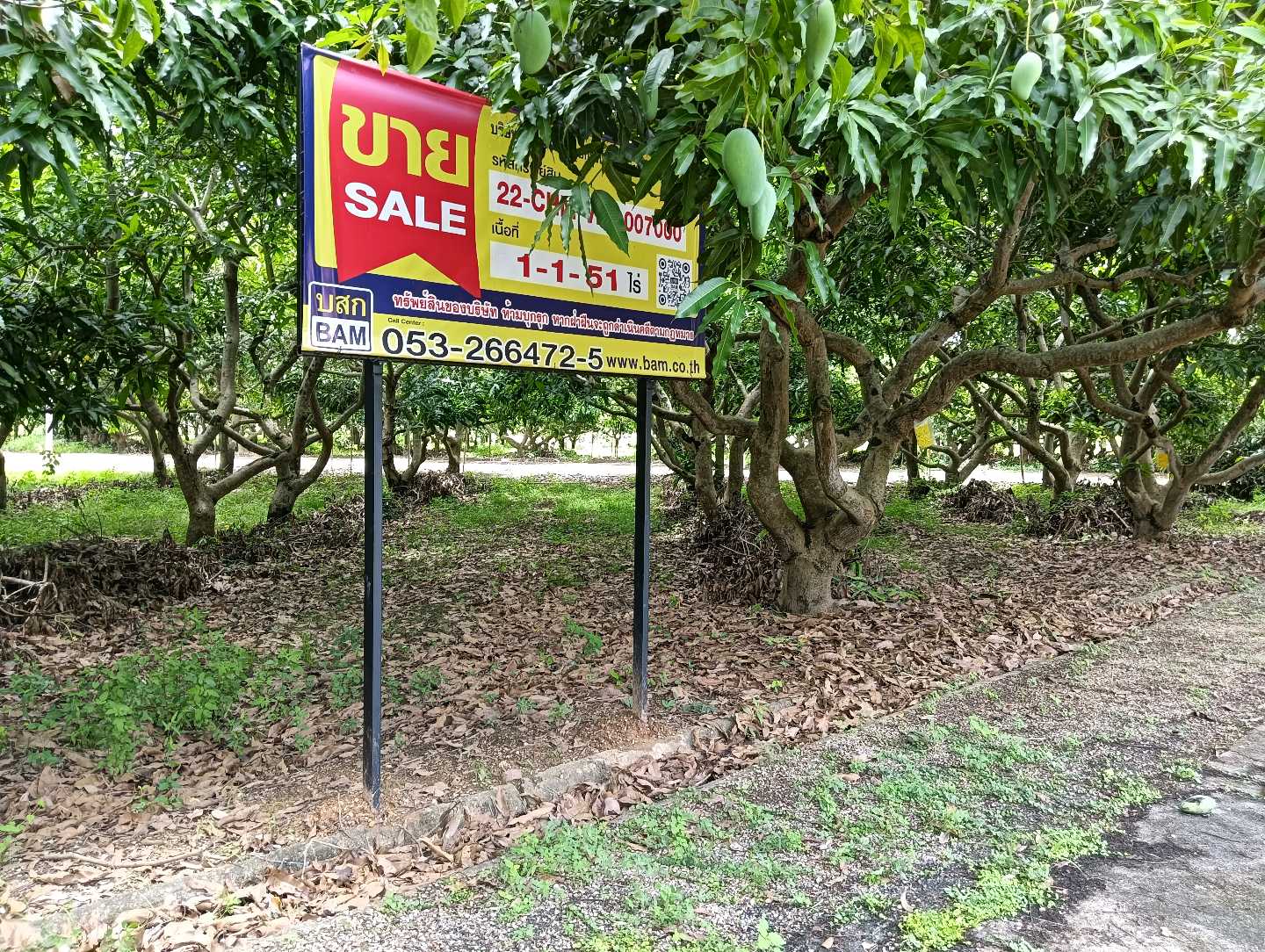 ที่ดิน อินทขิล  เชียงใหม่