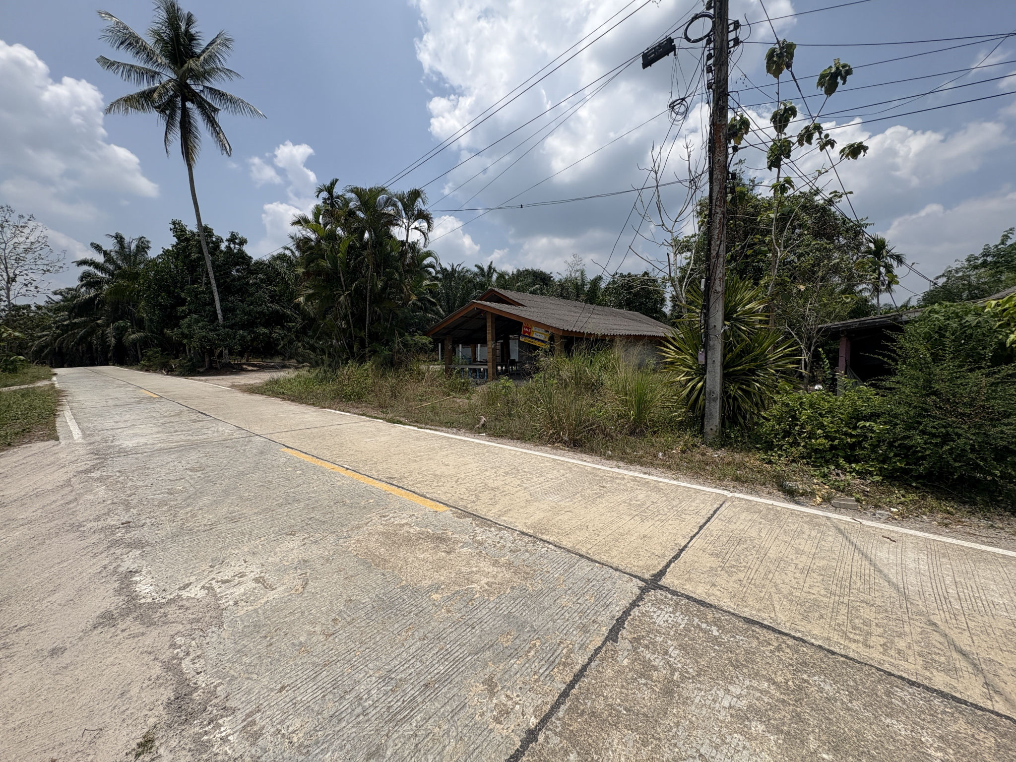 cd835497-63444-5 (1).jpg