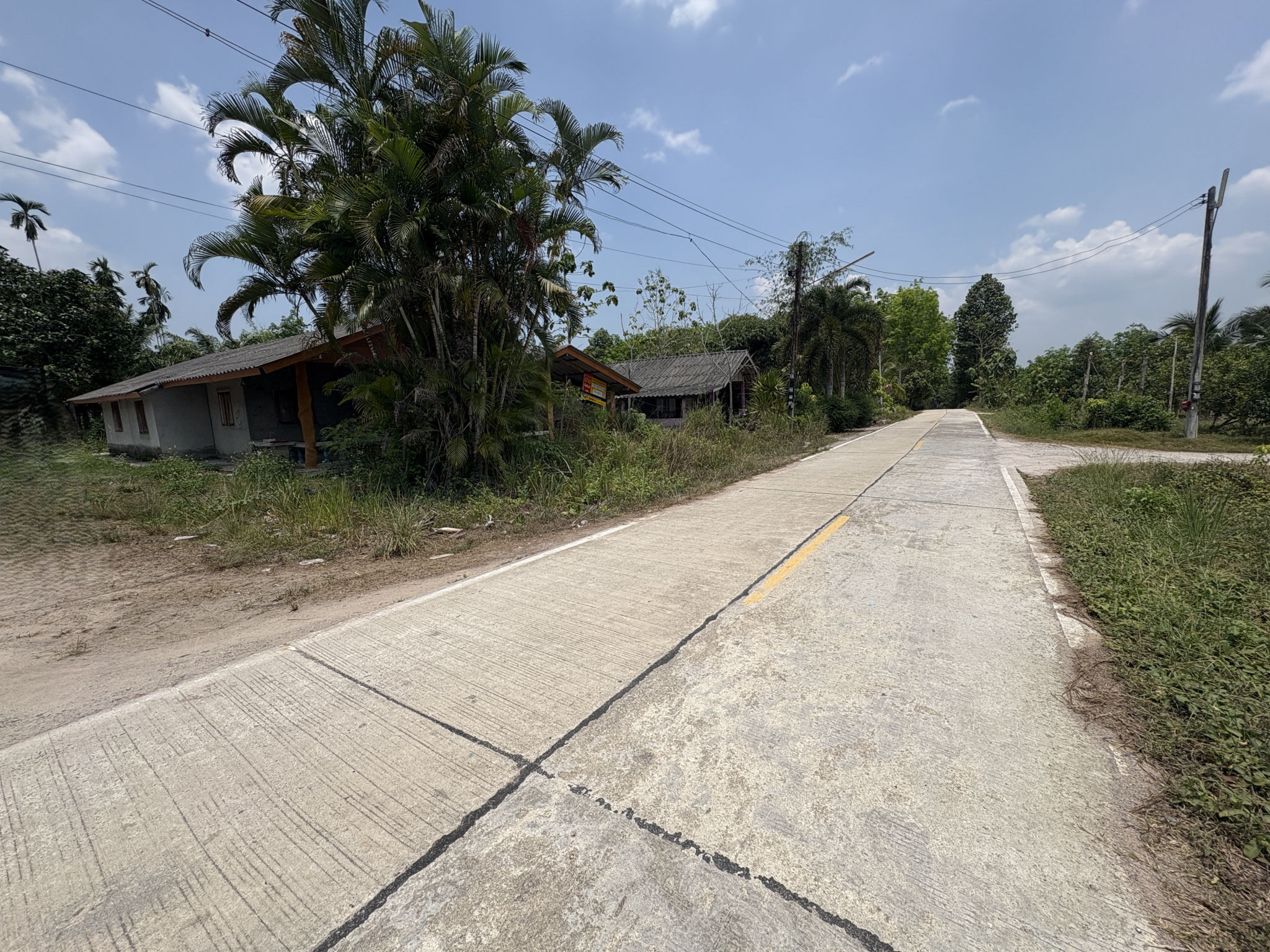 cd835497-63444-7.jpg