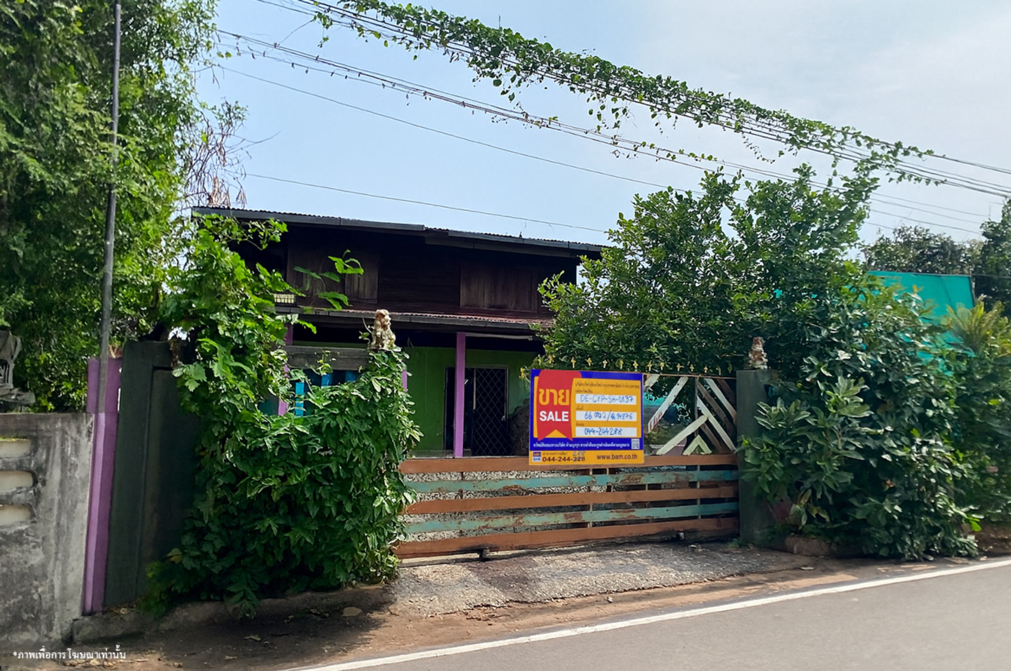 05.jpg