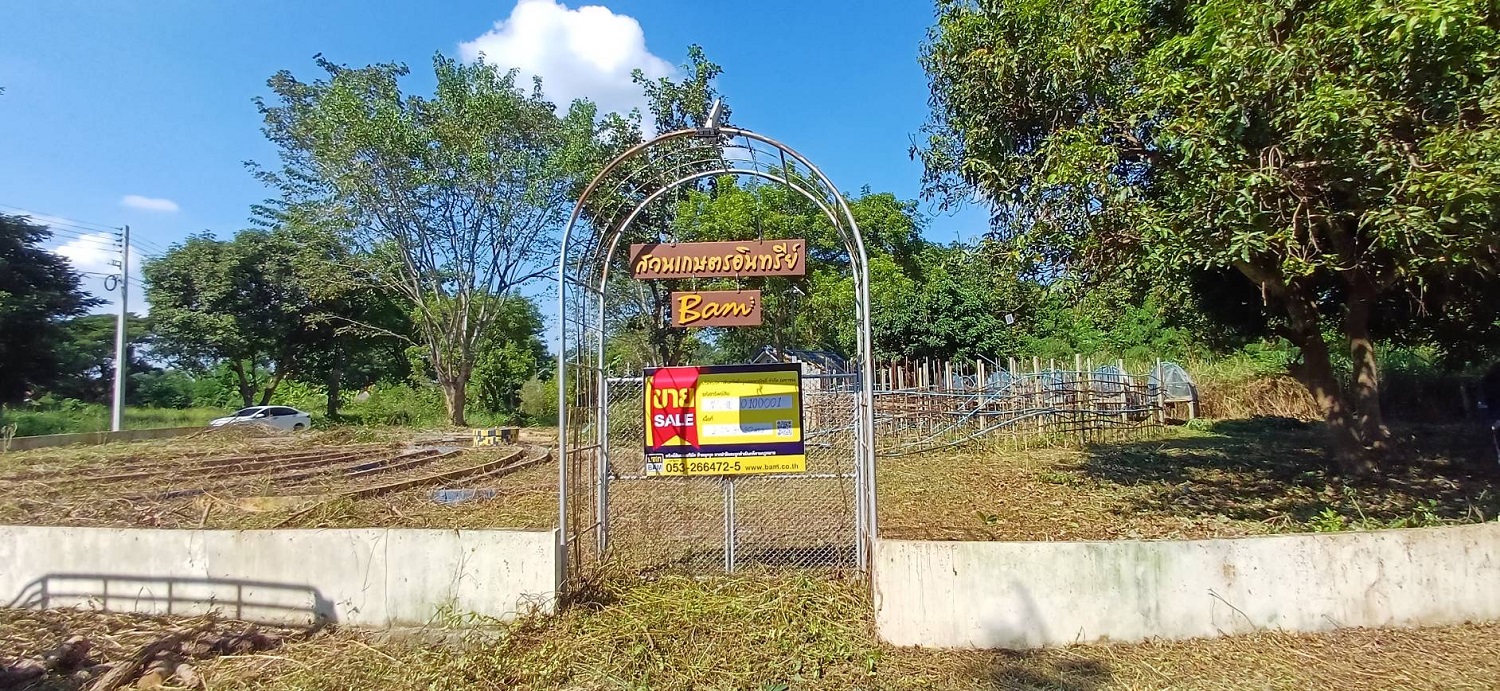 บ้านเดี่ยว   เชียงใหม่