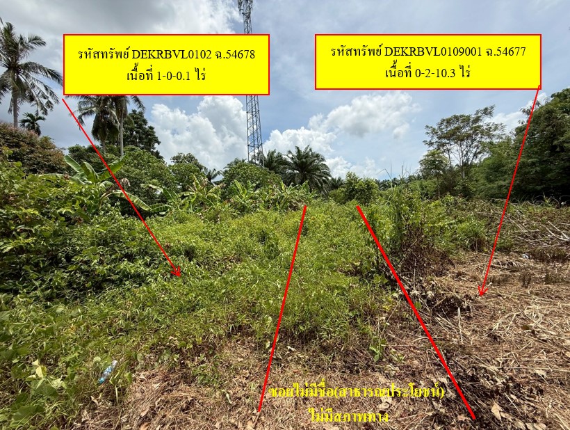 à¸«à¸à¹à¸²à¸à¸£à¸.jpg