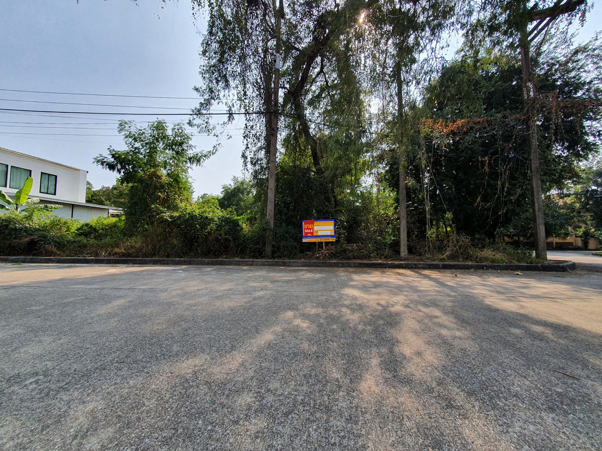 ที่ดิน บางคูวัด เมืองปทุมธานี ปทุมธานี