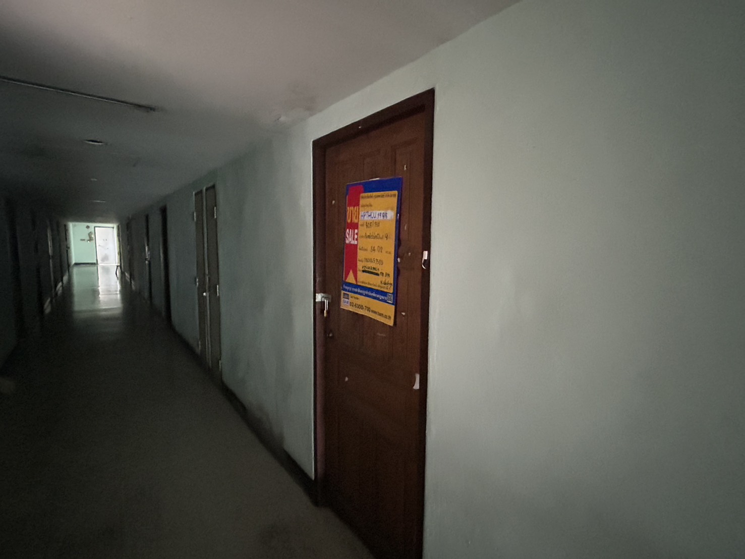 S__81698881.jpg