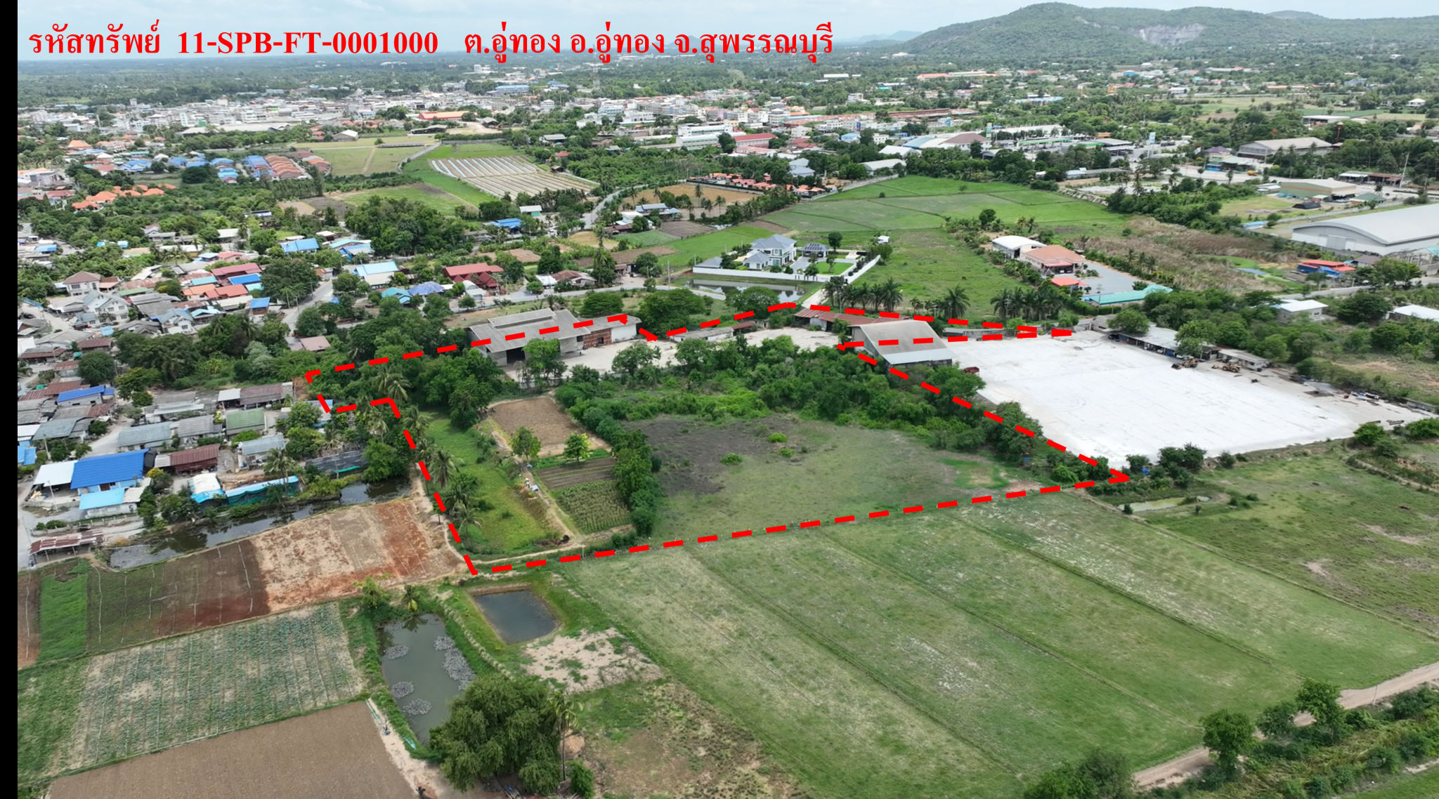 Picture3.png
