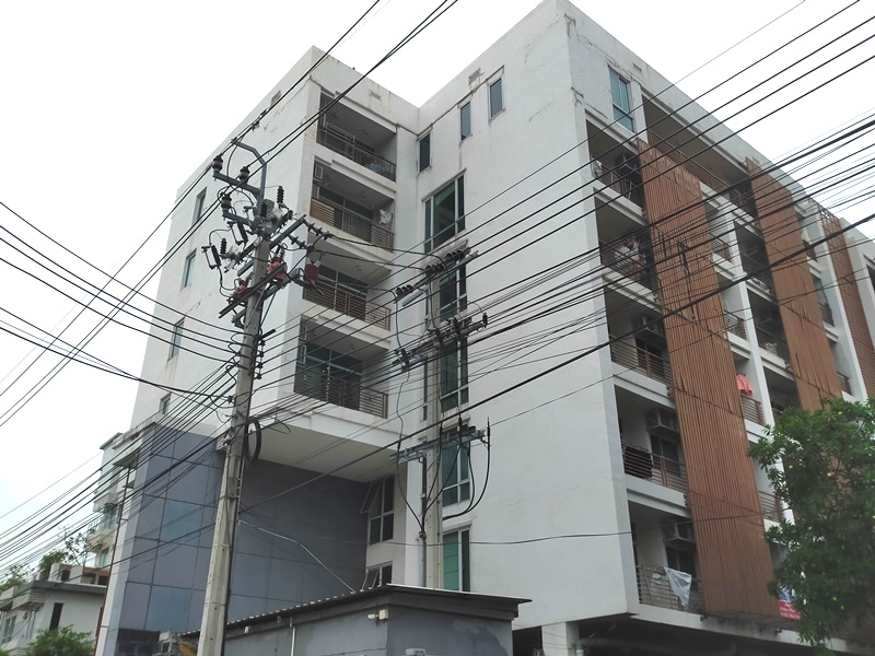 เดอะฟอเรส.jpg