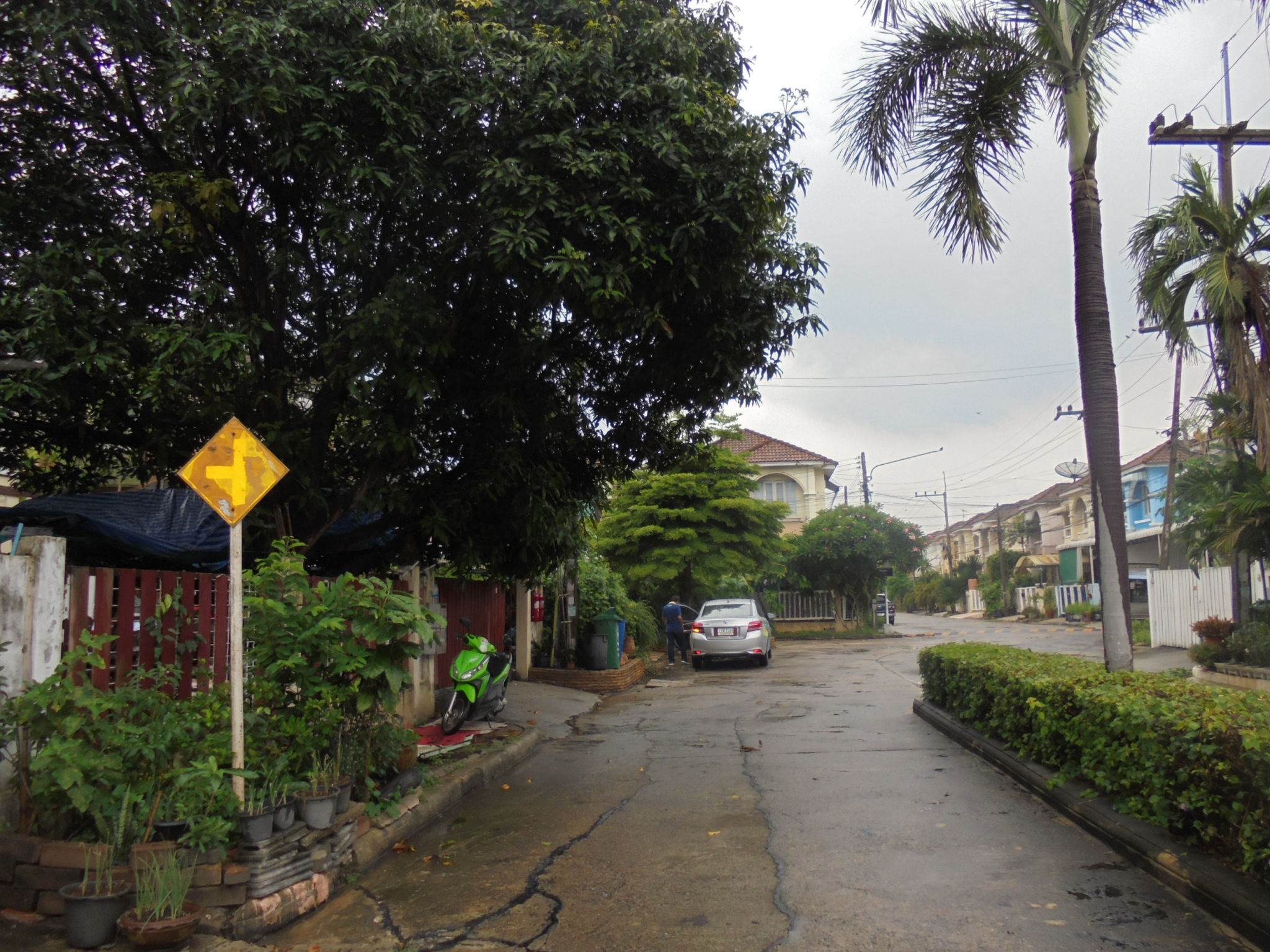 DSC08052.JPG