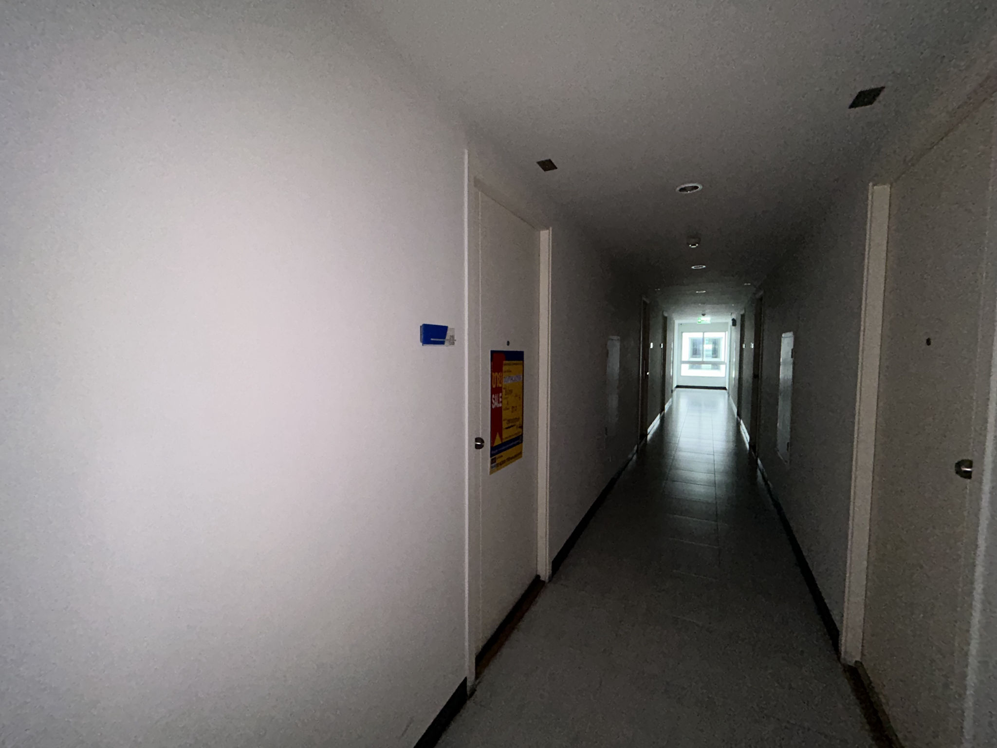 IMG_2784.jpeg
