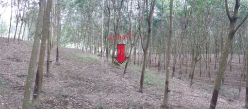 1.PNG