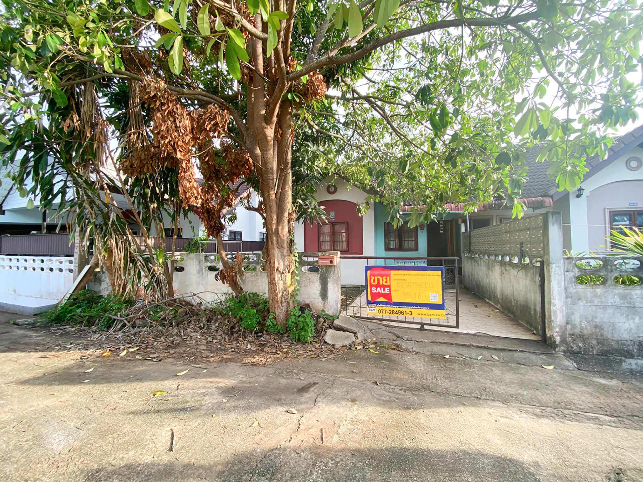 บ้านเดี่ยว   สุราษฎร์ธานี
