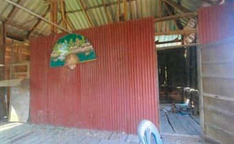 p6.JPG