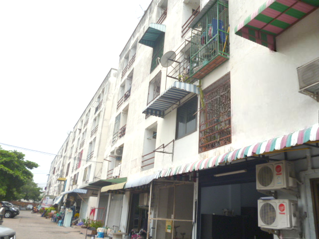 image (13).png