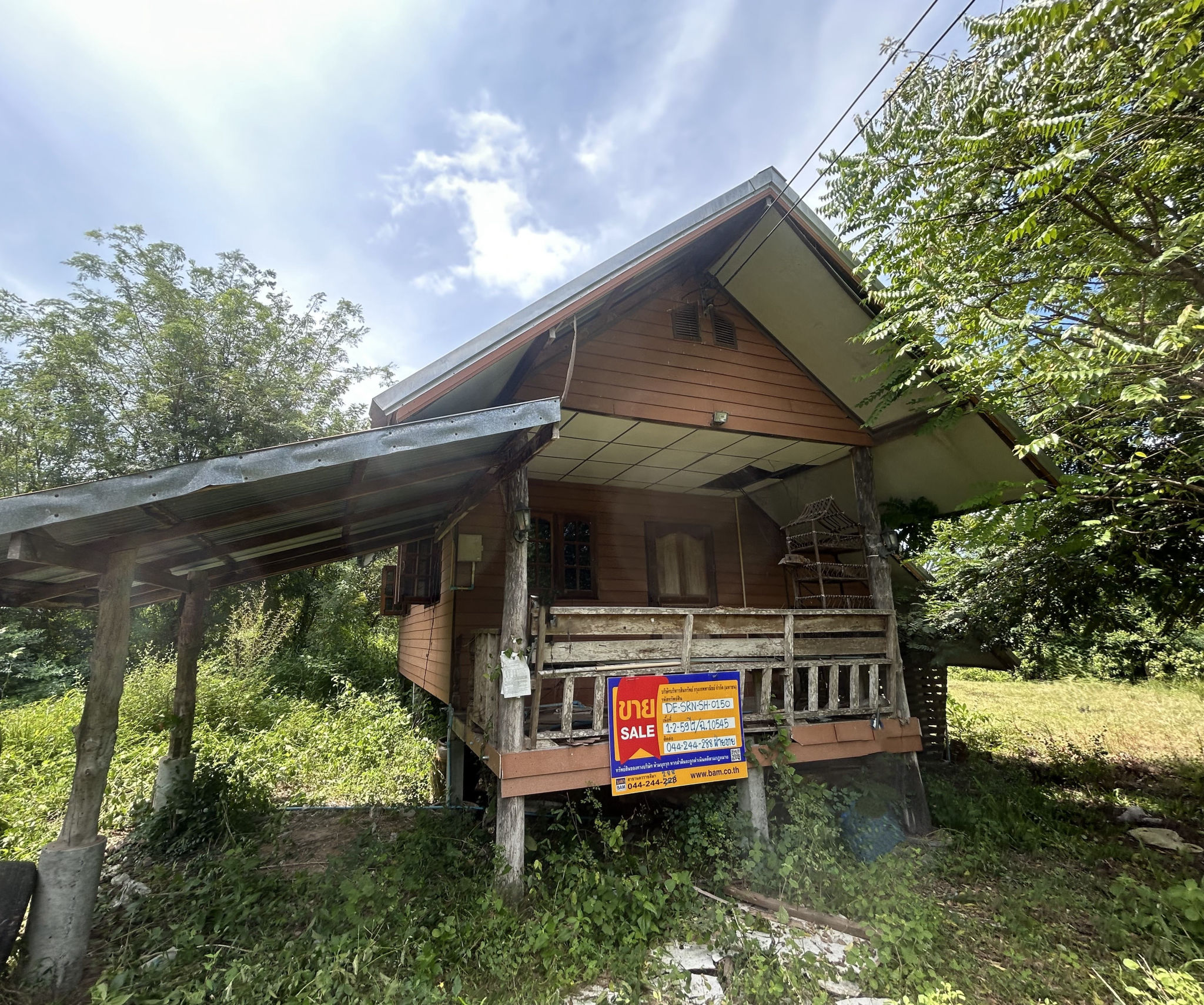 055f3683-150324-2.jpg