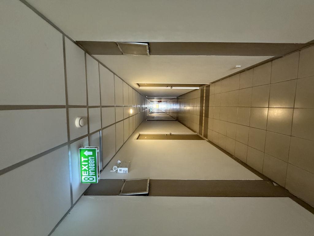 IMG_6478.jpeg