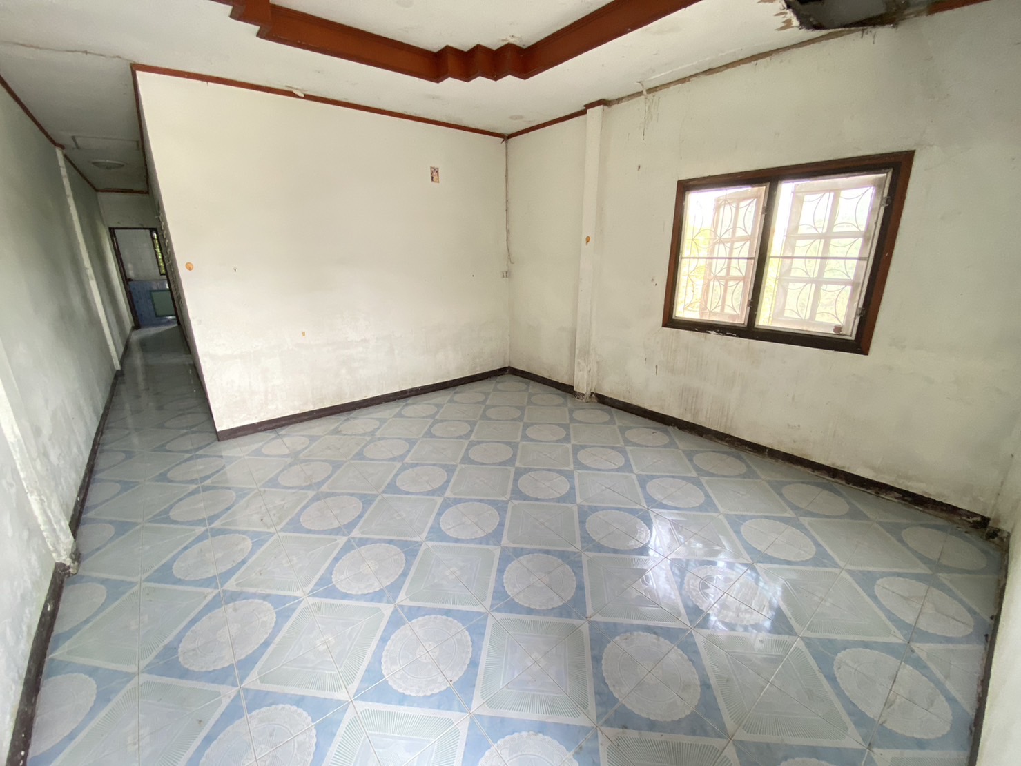 IMG_8904.JPG