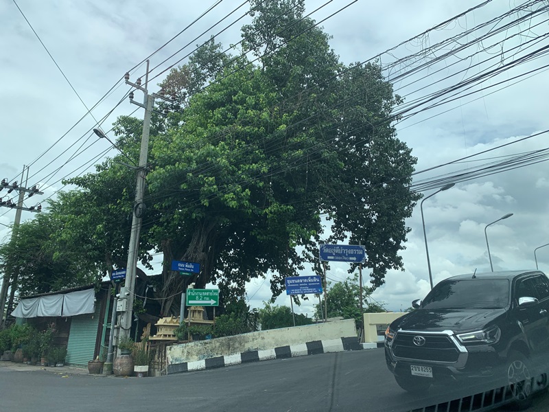 อช.77-193 (2).JPG