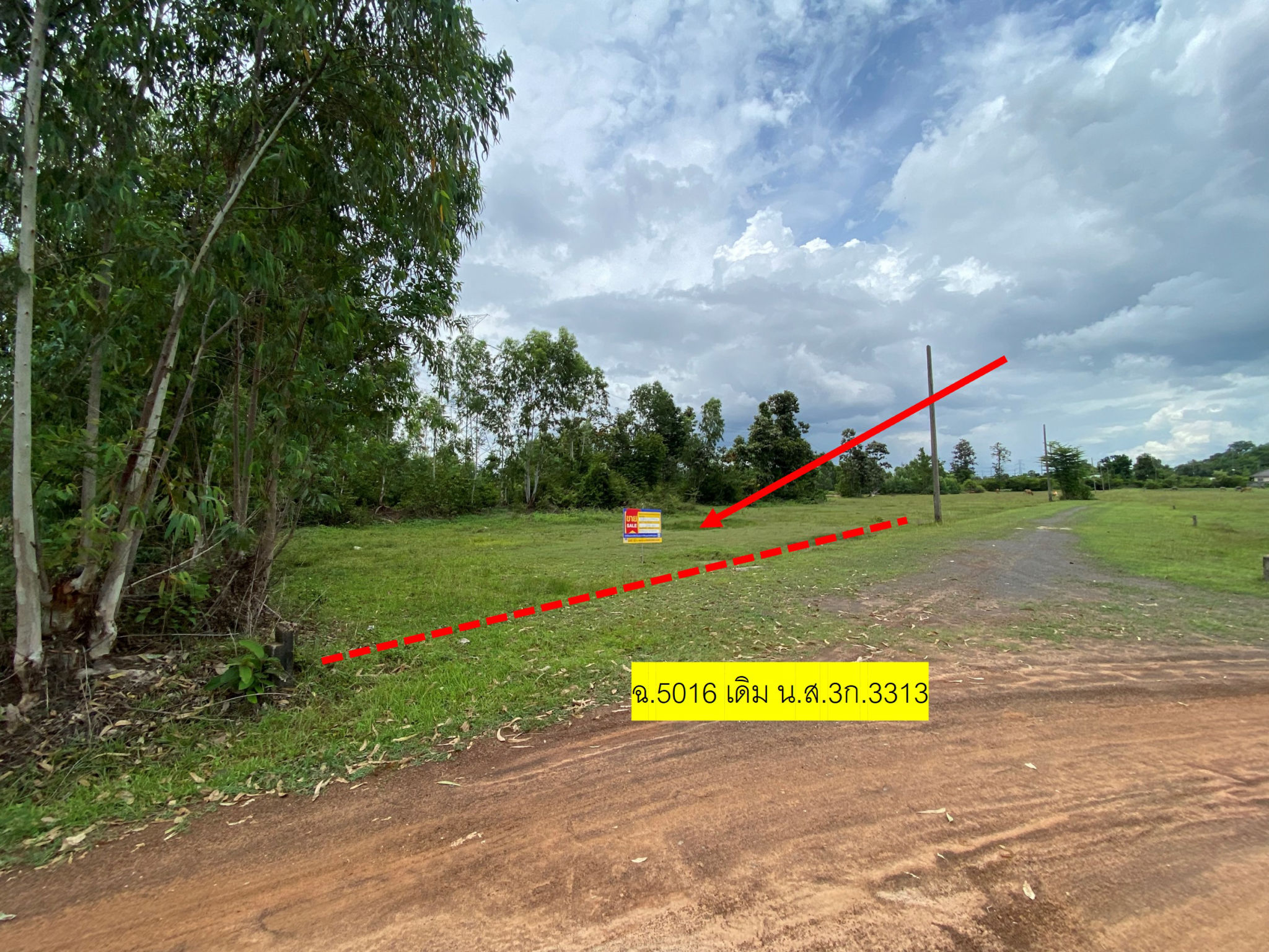 รูปภาพ102.jpg