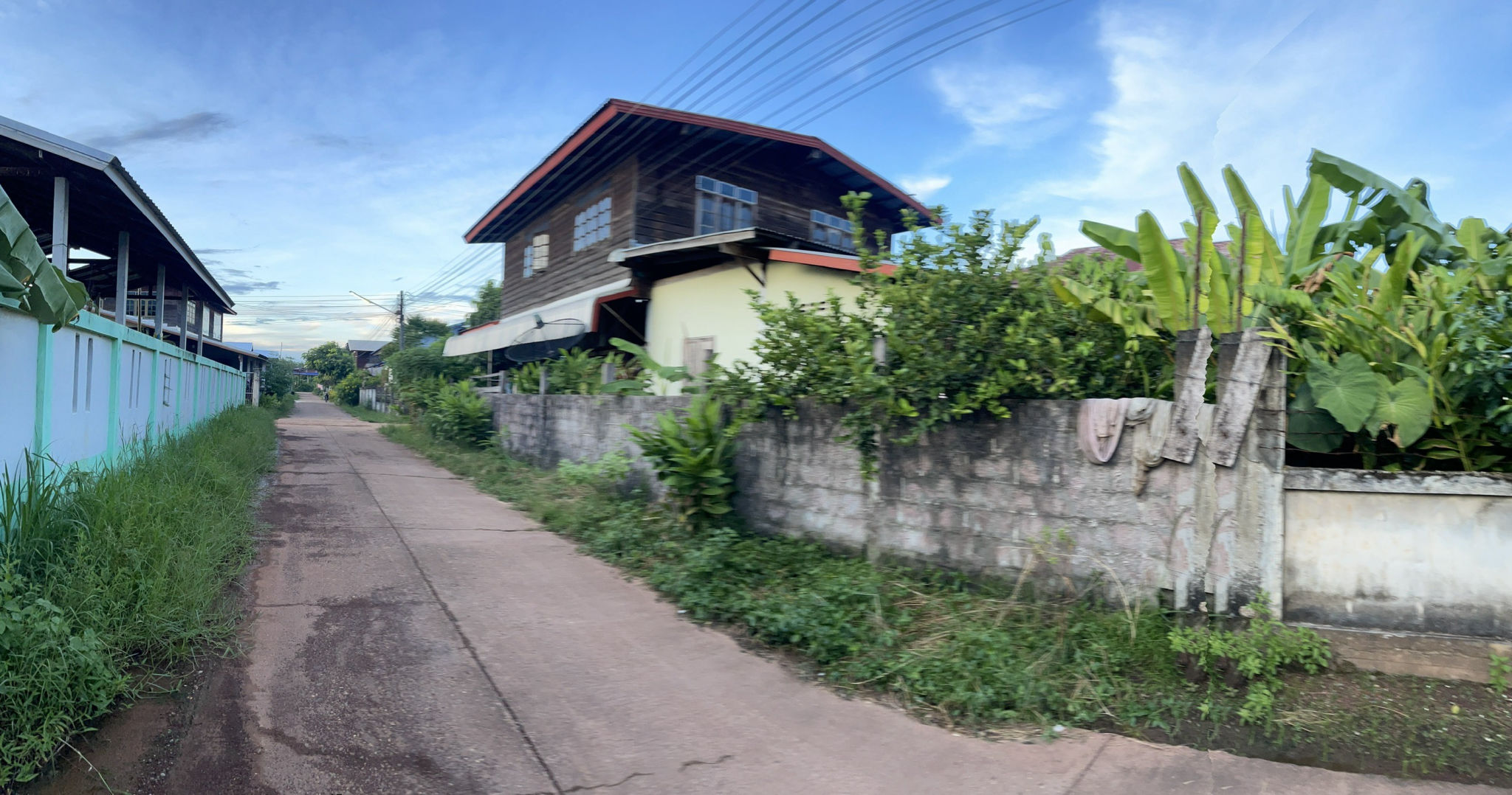 S__75096315.jpg