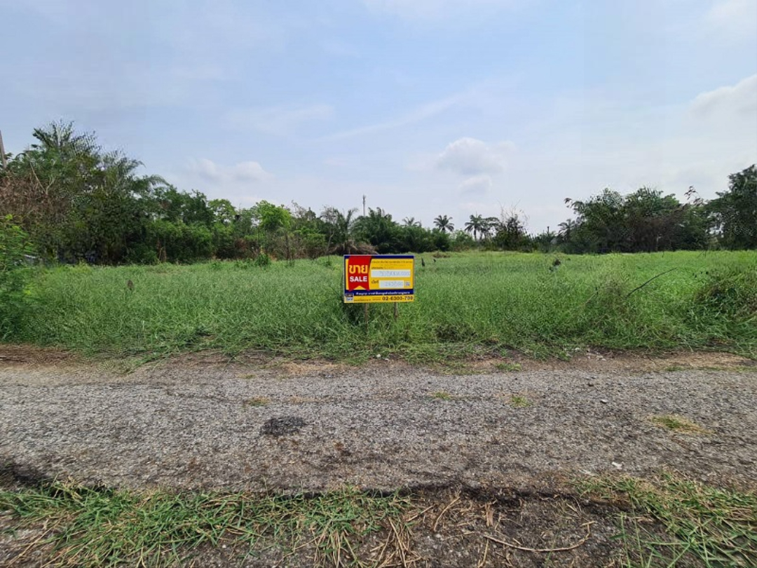 ที่ดิน ลำผักชี หนองจอก กรุงเทพมหานคร