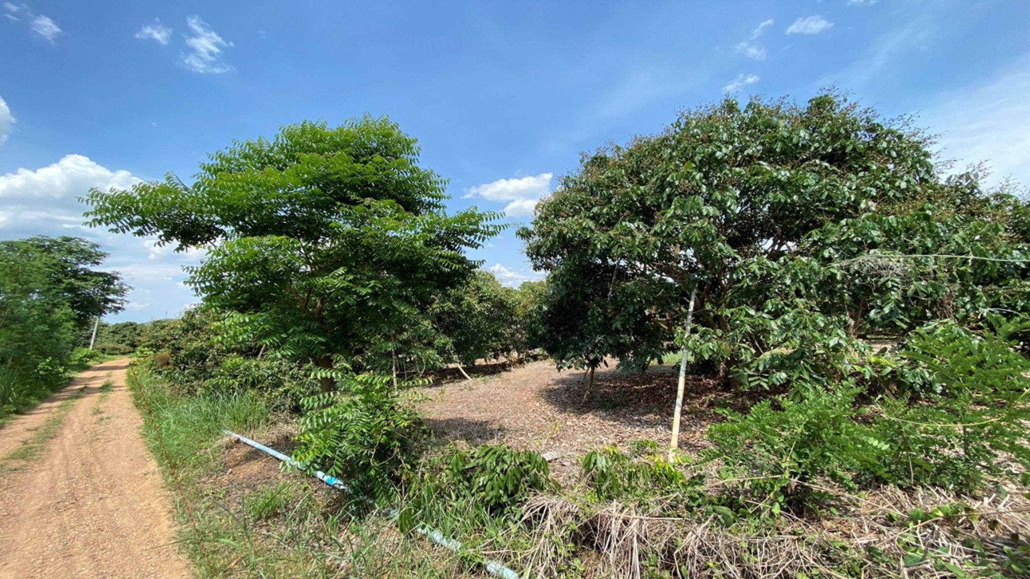 image (10).png