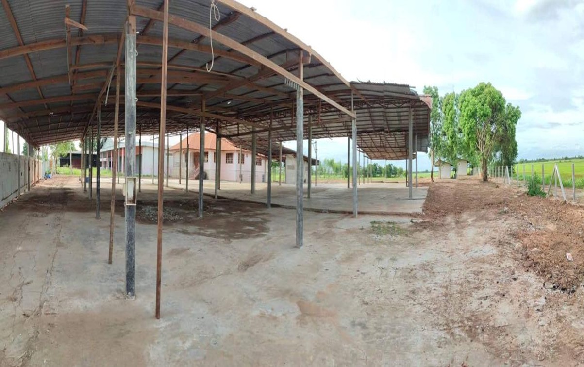 Picture5.jpg